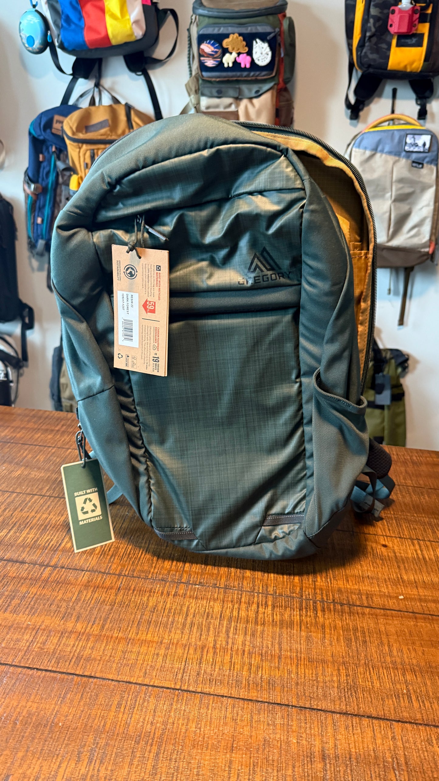 Gregory Backpack - like new