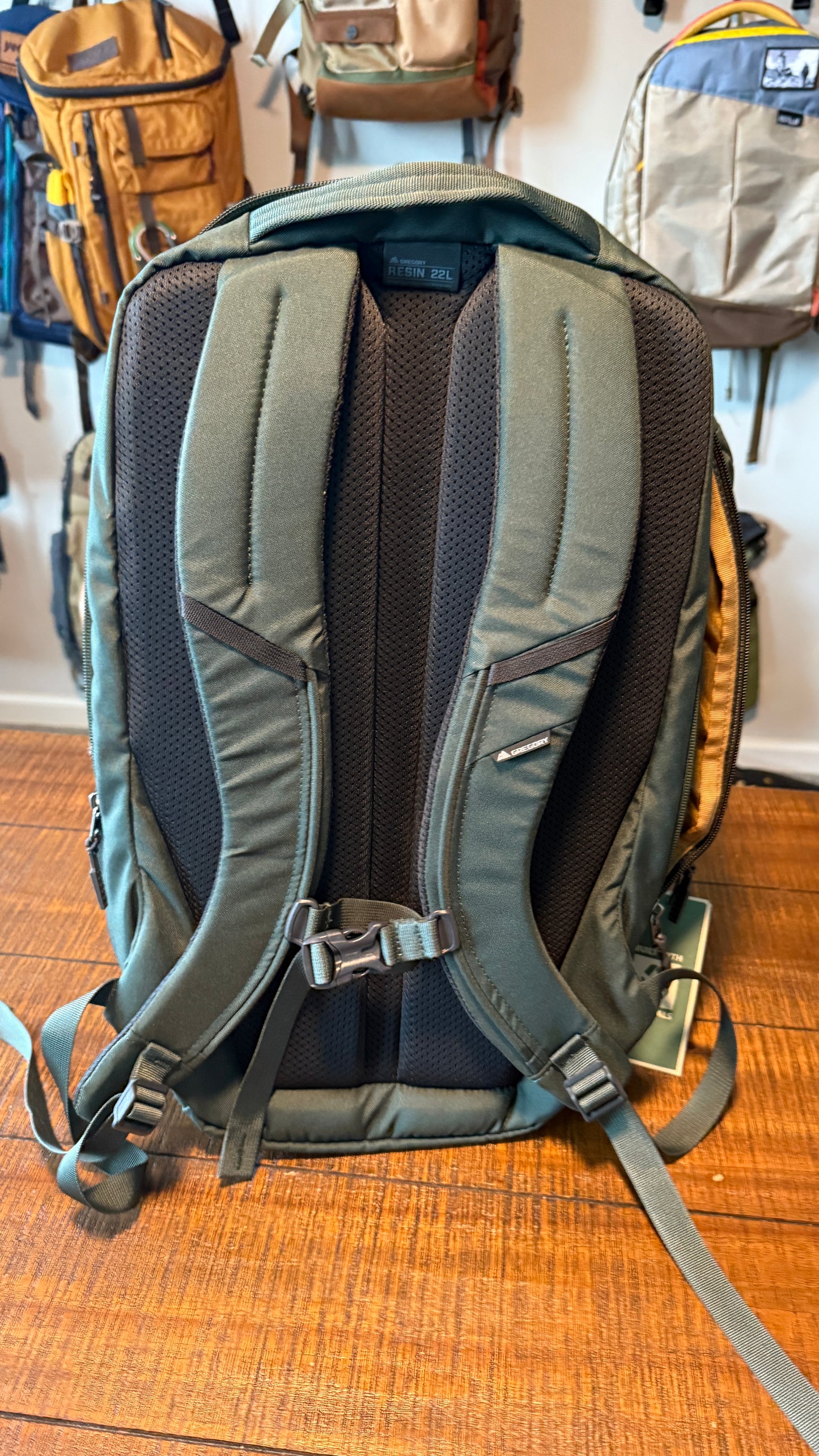 Gregory Backpack - like new